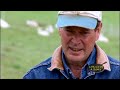 Raised on Grass: Pasture Fed Animals