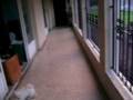 MVI_0937.AVI