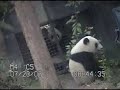 Mei Sheng and Su Lin meet at the Howdy Door- #2