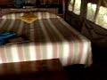 Nuestra carpa en Tortilis