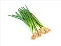 Jon Lord with The Hoochie Coochie Men - Green Onions Jon Lord with The Hoochie Coochie Men - Green Onions
