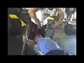 TREINO HIPERTROFIA MUSCULAR ANIMAL TREINO HIPERTROFIA MUSCULAR ANIMAL