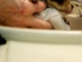 First bath for tiniest of 11 dumpster pups