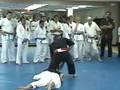videos de WLJTA and Suntree Dojo Training Session