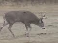Hal and Len Go Huntin\