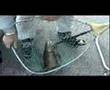 Shasta Fishing Monster Brown Trout