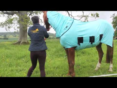 how to treat udder rot