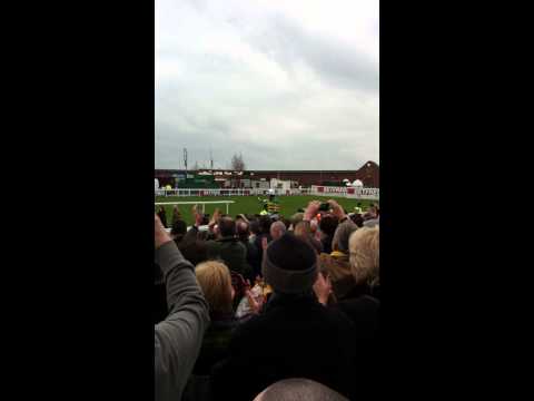 cheltenham gold cup