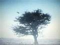 If I Was - Midge Ure
