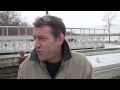 BSEC-Mark Polar Dip