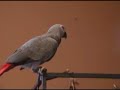 Kaja - o jejkuuuu ;)