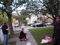 Bayside Gingko Fruit Harvesting Queens NY
