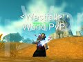 vurtne frost mage pvp