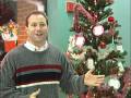 Schaumburg Living Extra - Jaycee Wish Tree