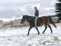 bareback riding bareback riding