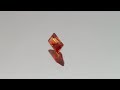 Padparadsha Saphir 0.21 Ct.AVI