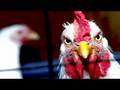 KFC's UnChicken | ZapRoot 052