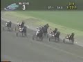 2003 Mistletoe Shalee Stakes 2003 Mistletoe Shalee Stakes