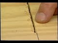 Circular Saw Tips