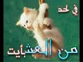 تصميم روعه