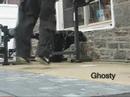 Cwalk - GhOsTy - Something You Forgot