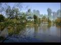 UC Davis Arboretum