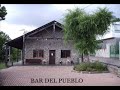 Mones por dentro Mones por dentro