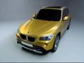 BMW Concept X1