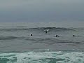 John Winnick @ Windan Sea 2