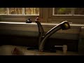 Panasonic DMC-GF1 20 mm Depth of Field Test