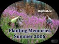 Tree Planting At Scooter's Camp