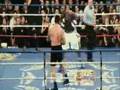 rocky  6