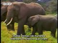 Parte 1 do grande e famoso filme 