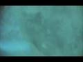 Undercurrent - Rosemary Butcher - 2001
