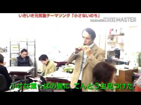 動画