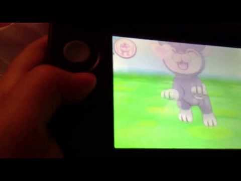 how to delete x y pokemon