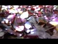 Ben Burbidge Films 2009 Greatest Day Promotional Video