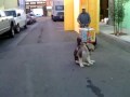 Montana_Icecream cart 1.mov
