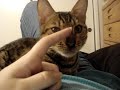 My little Tiberius...