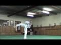 TKD ADV KICKING FREE
