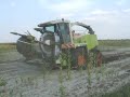 Claas Jaguar in trouble