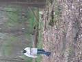 paintball