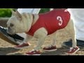 Super Bowl Commercials 2012: Kim Kardashian's Sketcher Replacement, Mr. Quiggly, Visits 'GMA'