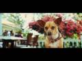 Le Chihuahua De Beverly Hills - Bande-annonce [jamel Comedy Club]