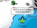 Go to the clubpenguin beach!