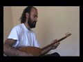 bulbulo