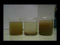 Wastewater treatment with bio separator Wastewater treatment with bio separator