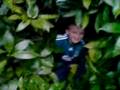 videos de even more bushdiving