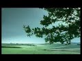 Verdadeira campanha de trânsito