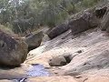 beechworth gold falls